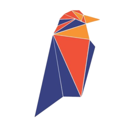 RVN Ravencoin