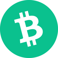 BCH Bitcoin Cash